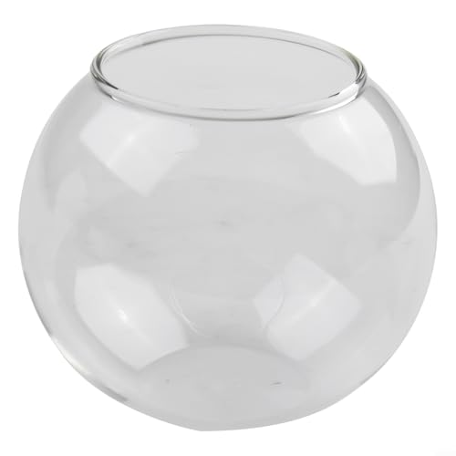 Transparenter Borosilikatglas-Terrarium-Blumentopf für Sukkulenten, 8–15 cm (B) von Besttoolifes