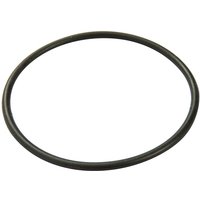 Bestway - Ersatzteil Filterdeckel-Dichtung für Flowclear™ Filterpumpe (58381) von Bestway