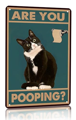 Bestylez Lustiges Smoking-Blechschild "Cat Are You Pooping", Vintage-Blechschild, Wanddekoration, Aluminium, 30,5 x 20,3 cm (3015) von Bestylez