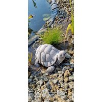 steinfigur Wasserschildkröte Schildkröte von BetonhexeShop
