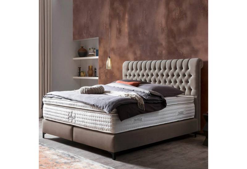 BettCo Boxspringbett Chester (in Taupe Velours, 200 x 200 cm), Topper optional, Schwarze Metallfüße von BettCo