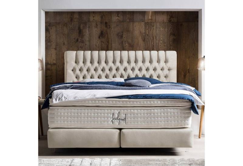 BettCo Boxspringbett Chester (in Creme Samt, 180 x 200 cm), Chesterfield-Design, Acryl-Füße von BettCo
