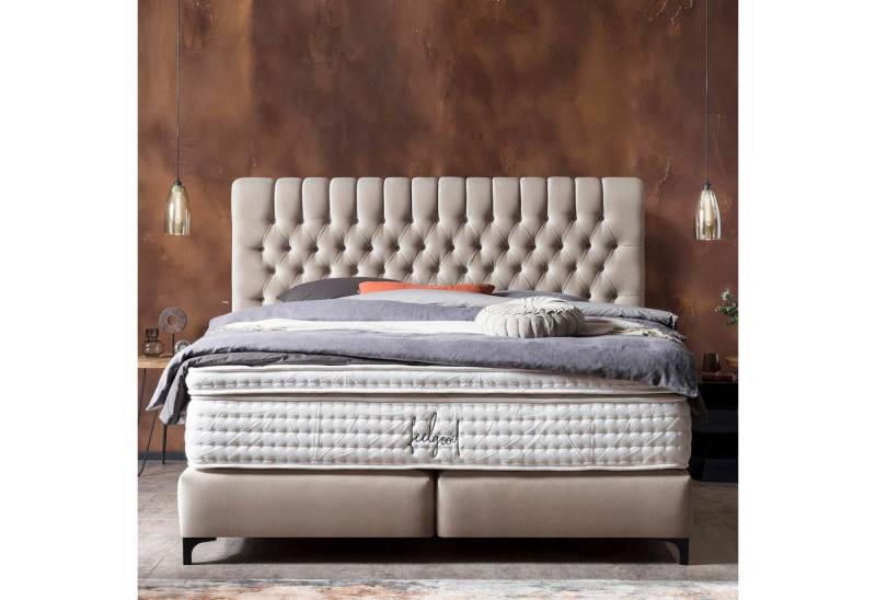 BettCo Boxspringbett Chester (in Creme Velours, 200 x 200 cm), Topper optional, Schwarze Metallfüße von BettCo