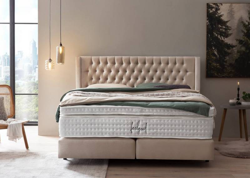 BettCo Boxspringbett Florida (in Beige Samt, 140 x 200 cm), Kopfteil mit Ohren, Topper optional, Schwebeoptik von BettCo