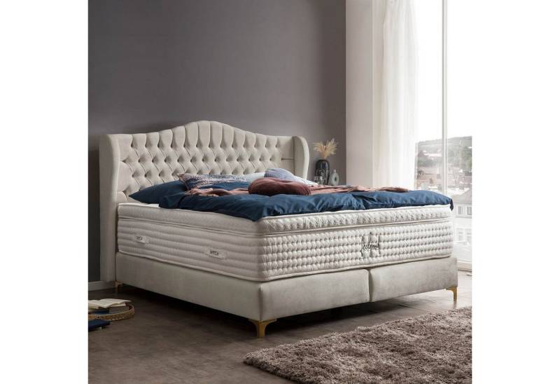 BettCo Boxspringbett Maison (in Creme Samt, 140 x 200 cm), Chesterfield, Topper optional, Füße Gold-Optik von BettCo