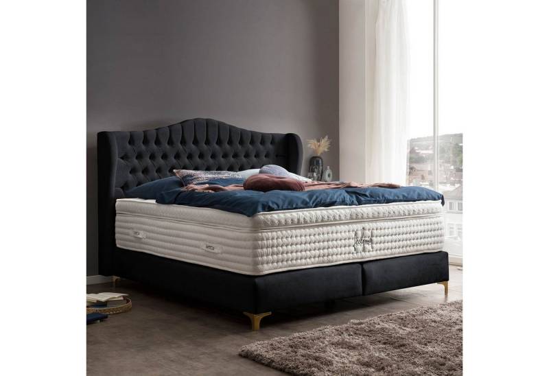 BettCo Boxspringbett Maison (in Schwarz Samt, 180 x 200 cm), Chesterfield, Topper optional, Füße Gold-Optik von BettCo