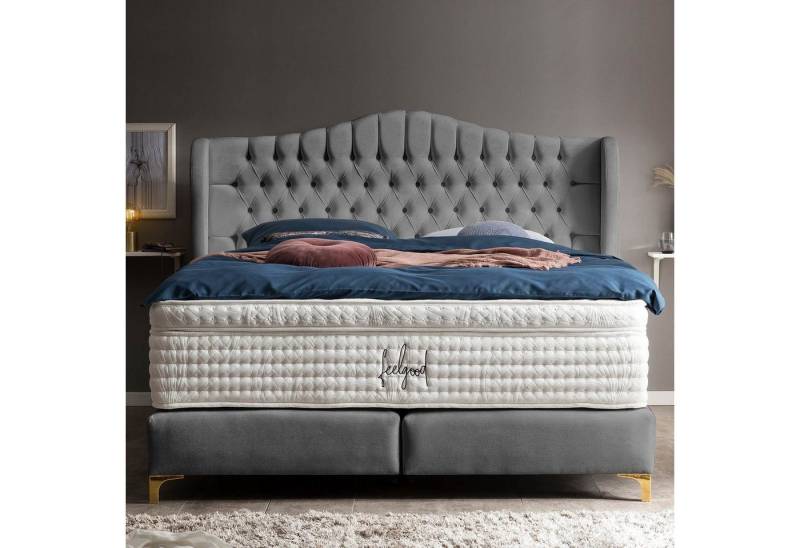BettCo Boxspringbett Maison (in Dunkelgrau Samt, 200 x 200 cm), Chesterfield, Topper optional, Füße Gold-Optik von BettCo