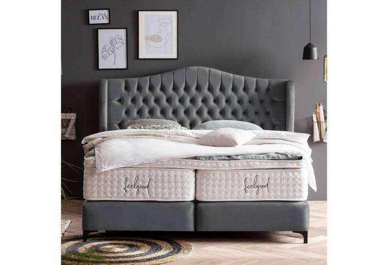 BettCo Boxspringbett Maison (in Dunkelgrau Velours, 180 x 200 cm), Chesterfield, Topper optional, Metallfüße von BettCo