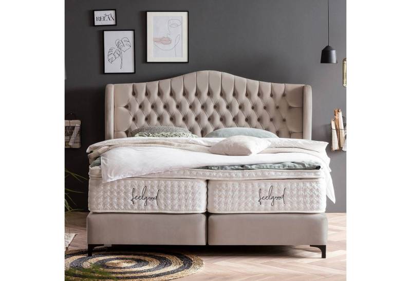 BettCo Boxspringbett Maison (in Taupe Velours, 200 x 200 cm), Chesterfield, Topper optional, Metallfüße von BettCo