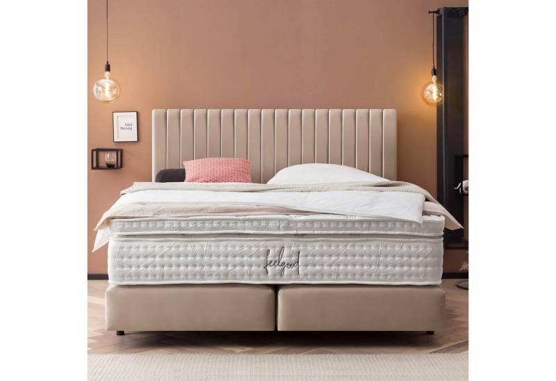BettCo Boxspringbett Paris (in Creme Velours, 200 x 200 cm), Pfeifensteppung, Topper optional, Schwebeoptik von BettCo