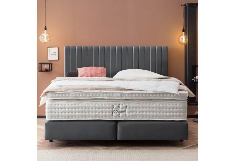 BettCo Boxspringbett Paris (in Taupe Velours, 200 x 200 cm), Pfeifensteppung, Topper optional, Schwebeoptik von BettCo
