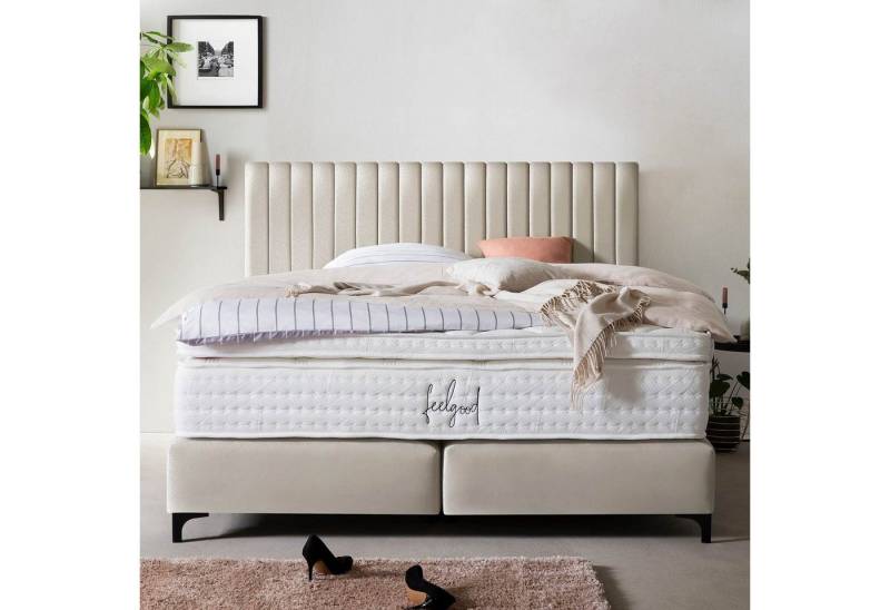 BettCo Boxspringbett Paris (in Creme Samt), Pfeifensteppung, Topper optional, Metallfüße von BettCo