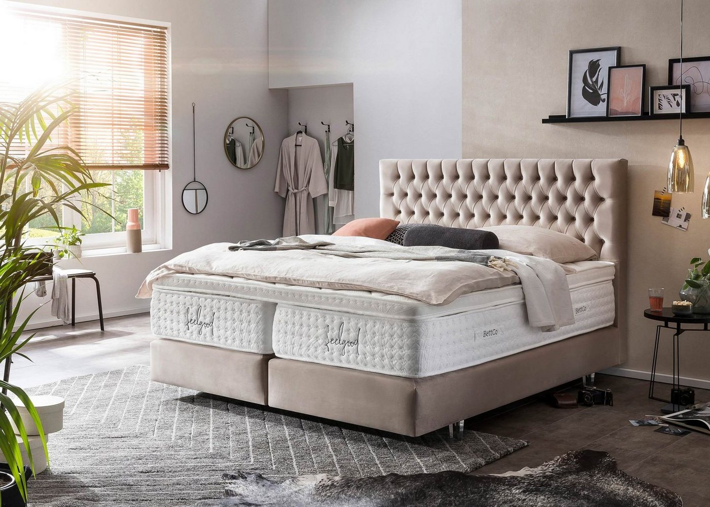 BettCo Boxspringbett Vegas (200 x 200 cm, 7-St., in Creme Velours), Chesterfield Design + optionaler Topper, Acryl-Füße Glas-Optik von BettCo