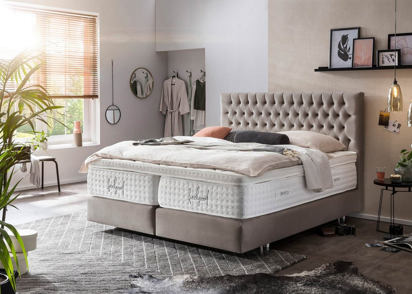 BettCo Boxspringbett Vegas (200 x 200 cm, 7-St., in Taupe Velours), Chesterfield Design + optionaler Topper, Acryl-Füße Glas-Optik von BettCo