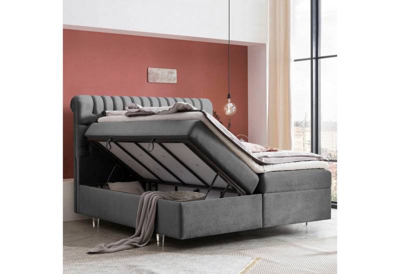 BettCo Stauraumbett Boxspringbett mit Bettkasten Chester (in Dunkelgrau Samt, 160 x 200 cm), XXL Bettkasten, Acryl-Füße von BettCo
