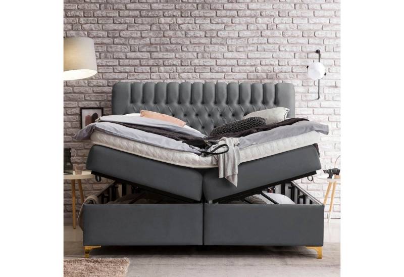 BettCo Stauraumbett Boxspringbett mit Bettkasten Chester (in Dunkelgrau Velours, 180 x 200 cm), XXL Bettkasten, Gold-Optik Füße von BettCo