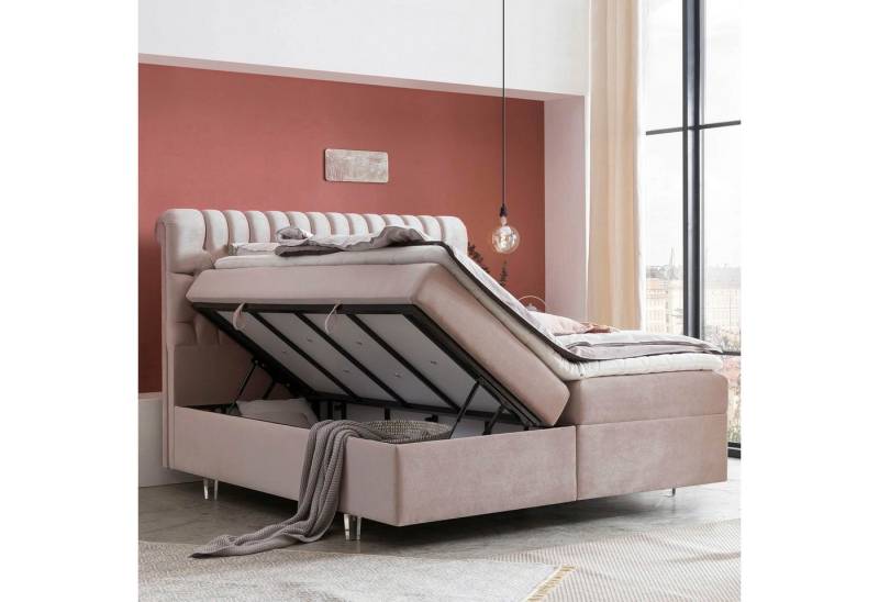BettCo Stauraumbett Boxspringbett mit Bettkasten Chester (in Rose Samt, 200 x 200 cm), XXL Bettkasten, Acryl-Füße von BettCo