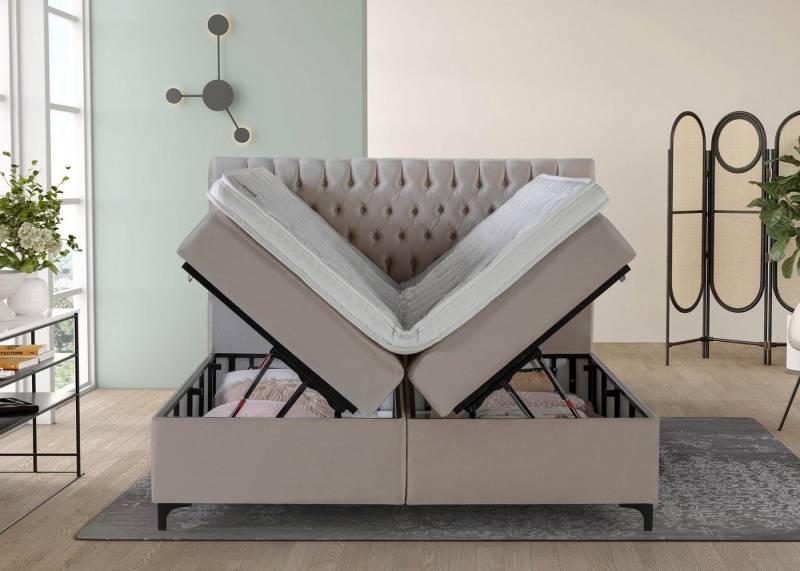 BettCo Stauraumbett Boxspringbett mit Bettkasten Vegas (in Samt Rose, 160 x 200 cm), Chesterfield Design, Metallfüße von BettCo