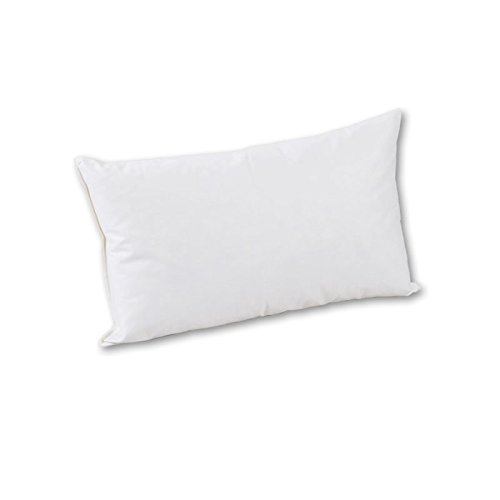 Betten-Anne Sofakissen 50 cm x 70 cm Daunen der Klasse VII 800 g Betten-Anne Sofakissen 50 cm x 70 cm Daunen der Klasse VII 800 g von Betten-Anne