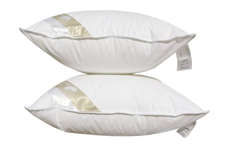 2 Stück Betten Hofmann Basic Allergiker Kleinkissen Faserkissen 50x50 cm 350 g von Betten Hofmann