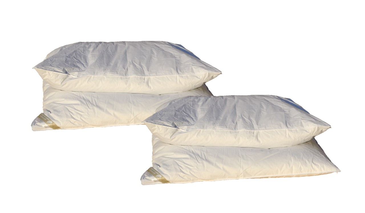 2 Stück Oberbetten Daunenbetten Ballonbetten 135x200 1500g 100% Daunen superwarm 2 Stück Oberbetten Daunenbetten Ballonbetten 135x200 1500g 100% Daunen superwarm von Betten Hofmann