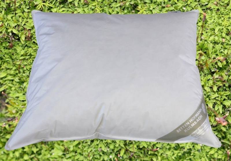 BENELUX Kissen Kopfkissen Federkissen 60x70 cm 30% Daunen strapazierfähig weich von Betten Hofmann