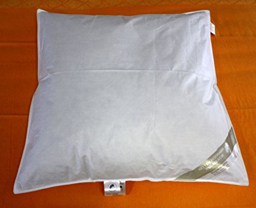 Betten Hofmann Baby Winter Daunenbett 80x80 cm Babydaunendecke, kuschelig warm, 250g Füllgewicht, Naturprodukt, waschbar Betten Hofmann Baby Winter Daunenbett 80x80 cm Babydaunendecke, kuschelig warm, 250g Füllgewicht, Naturprodukt, waschbar von Betten Hofmann