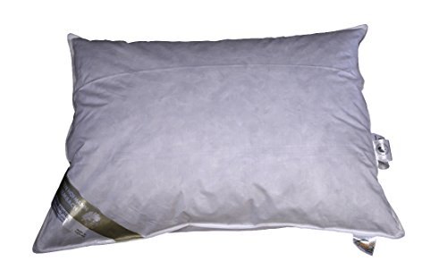 Betten Hofmann Kopfkissen Polster 70x90 cm 950g Daunen Daunenkissen Kissen prall 100% Betten Hofmann Kopfkissen Polster 70x90 cm 950g Daunen Daunenkissen Kissen prall 100% von Betten Hofmann