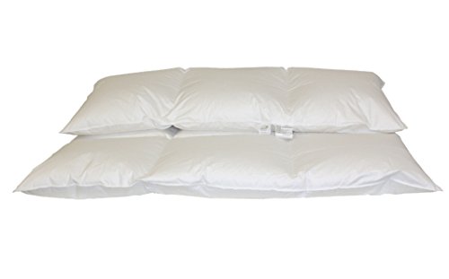 Betten Hofmann Luxus 8cm HOCHSTEG Daunenbett Daunendecke 155/220cm 3x4 Karo super warm von Betten Hofmann