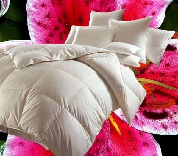 Betten Hofmann Canada Kassetten Daunenbett 4x6 135x200 1000 g Daunendecke 100... von Betten Hofmann