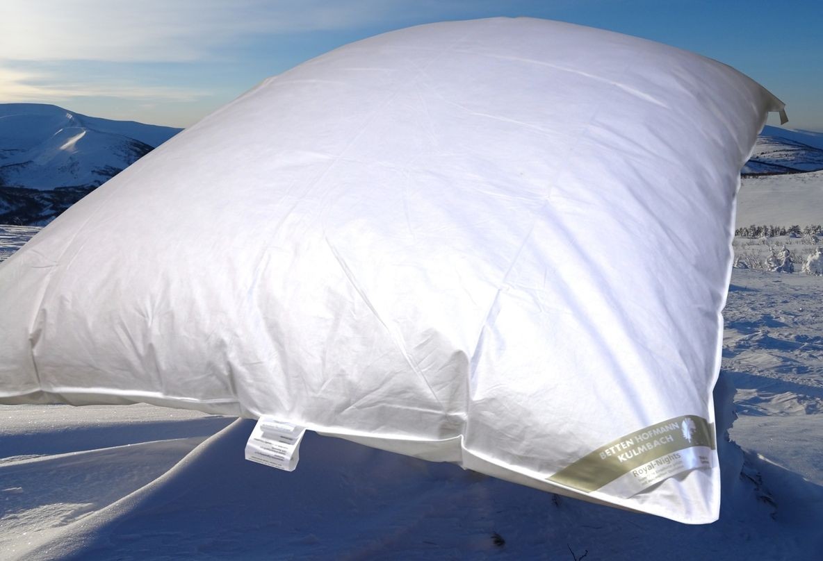 Hofmann Ballonbett Oberbett Federbett Schüttelbett 30% Daunen 135x200 warm 2000g Hofmann Ballonbett Oberbett Federbett Schüttelbett 30% Daunen 135x200 warm 2000g von Betten Hofmann