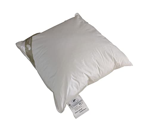 Betten Hofmann Franken Kissen Kopfkissen Federkissen 65x65 cm, 15% Daunen 700 g Füllgewicht, waschbar, Naturprodukt Betten Hofmann Franken Kissen Kopfkissen Federkissen 65x65 cm, 15% Daunen 700 g Füllgewicht, waschbar, Naturprodukt von Betten Hofmann