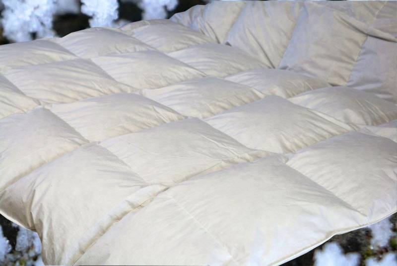 Betten Hofmann Kuschelige Ganzjahres Daunendecke 6x6 200x200,1380 g Daunenbet... von Betten Hofmann