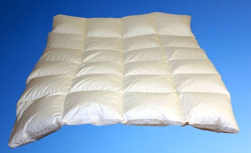 Betten Hofmann White Sibiria Schneegänseflaum Daunendecke mit 4 cm Außensteg ... von Betten Hofmann