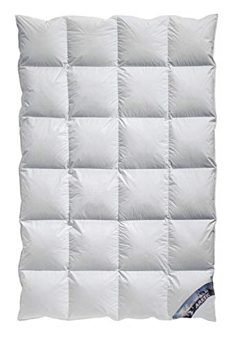 Kassetten Daunendecke Winterdecke Plus 100% arktischer Daunenflaum 100% Natur A4 - vom Betten Fachgeschäft (155x220 cm) von Betten-Traum-Land Arktic