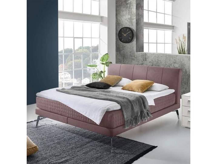 Boxspringbett Elipsa Webstoff 140x210cm Taschenfederkern-Box Härtegrad: H5 Rosa retro/vintage Boxspringbett Elipsa Webstoff 140x210cm Taschenfederkern-Box Härtegrad: H5 Rosa retro/vintage von Betten.de