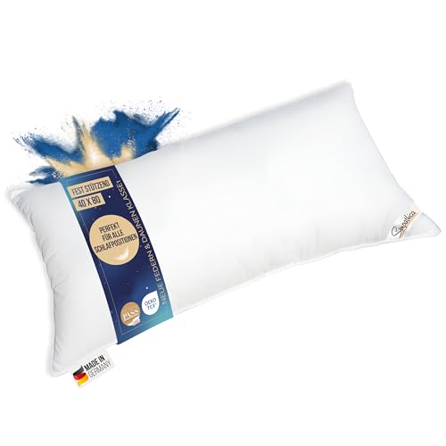 Bettenhaus Breuer Kopfkissen 660g Neue 15% Daunen 85% Federn Klasse 1 Daunenpass 40x80 Bettenhaus Breuer Kopfkissen 660g Neue 15% Daunen 85% Federn Klasse 1 Daunenpass 40x80 von Bettenhaus Breuer
