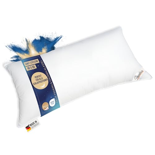 Bettenhaus Breuer Kopfkissen 660g Neue 30% Daunen 70% Federn medium Daunenpass 40x80 Bettenhaus Breuer Kopfkissen 660g Neue 30% Daunen 70% Federn medium Daunenpass 40x80 von Bettenhaus Breuer