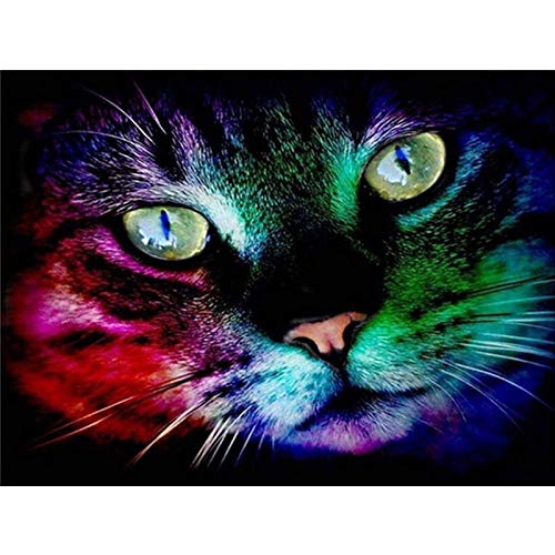 5D-Diamant-Malerei-Set zum Selbermachen, bunte Katze, Stickerei, Kreuzstich, Basteln, Heimdekoration, 30x40 cm 5D-Diamant-Malerei-Set zum Selbermachen, bunte Katze, Stickerei, Kreuzstich, Basteln, Heimdekoration, 30x40 cm von Better Selection