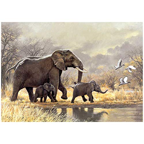 Better Selection Wildlife Elefant Diamant Malerset für Erwachsene, 5D Full Drill DIY Kunst & Handwerk Bling Kunst Dekoration Geschenkset mit Kristall-Strasssteinen 30x40 cm Better Selection Wildlife Elefant Diamant Malerset für Erwachsene, 5D Full Drill DIY Kunst & Handwerk Bling Kunst Dekoration Geschenkset mit Kristall-Strasssteinen 30x40 cm von Better Selection