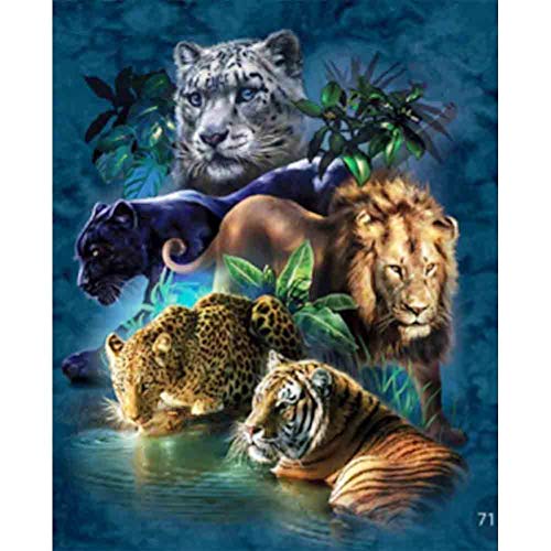 King Of The Jungle Lion Panther Spotted Leopard Black Tiger Diamond Painting Kit for Adults, 5D Full Drill DIY Arts & Crafts Bling Artwork Dekor Gift Set with Crystal Rhinestone Gems 30x40cm von Better Selection