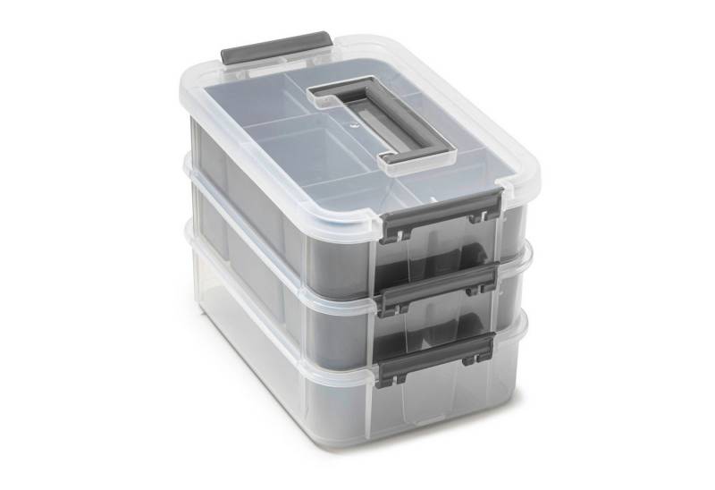 Betty Bossi Aufbewahrungsbox für Medikamente Organizer Kunsstoff Größen M und L (1 St) von Betty Bossi