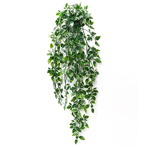 Betylifoy 1 Stück Künstliche Hängepflanzen Mandala Blätter mit Töpfen 50cm Lang Wartungsfreie Künstliche Pflanzen Rebe für Hausgarten Indoor Outdoor Decor (Mandala-1 stück) von Betylifoy