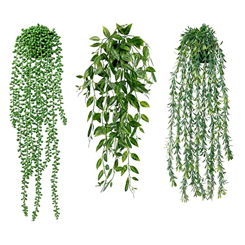 Betylifoy 3 Stück Künstliche Hängepflanzen Eukalyptus Blätter mit Töpfen 63cm Lang Wartungsfreie Künstliche Sukkulente Pflanzen für Hausgarten Indoor Outdoor Decor (Sukkulenten) von Betylifoy