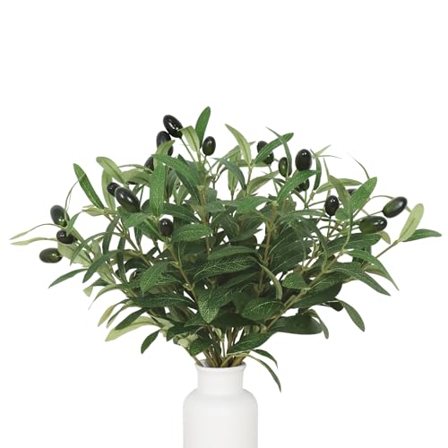 Betylifoy Künstlicher Olivenbaum Zweige 10PCS Faux Olive Blätter Stämme Fake Olive Greenery Stämme für Vasen Tabletop Hochzeit Sträuße Home Decor von Betylifoy