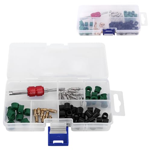 142pcs Klimaanlage Reparaturkit Reparaturwerkzeug, 20pcs Ventilkerne 100pcs Schlauchdichtungen 20pcs Ventile für die Autoklimaanlage von Beufee
