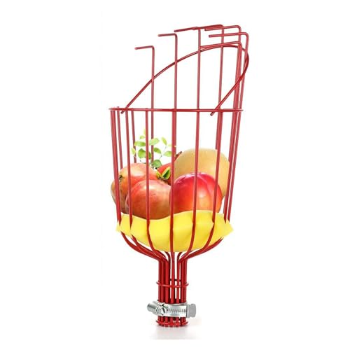 Beufee Obstpicker Korb Kopf, Obsterntewerkzeug rote Farbe Pfirsich -Picker -Korb ohne Stange für Avocado Acorn Lemon Pear Mango Beufee Obstpicker Korb Kopf, Obsterntewerkzeug rote Farbe Pfirsich -Picker -Korb ohne Stange für Avocado Acorn Lemon Pear Mango von Beufee