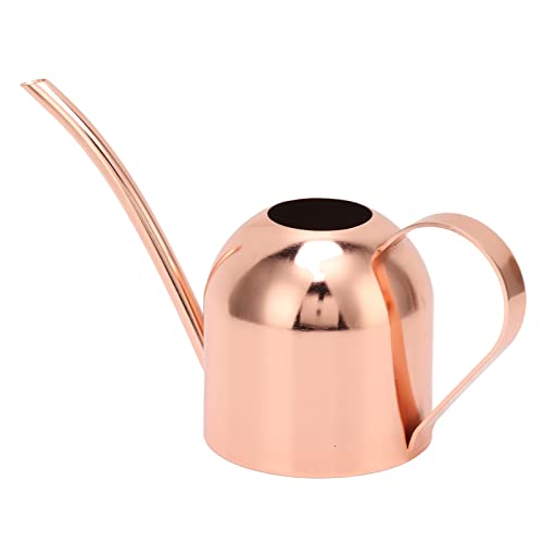 Bewinner Edelstahl-Gießkanne, Roségold-Gießkanne mit Langer Düse mit Großem Fassungsvermögen, Gießkanne für Zimmerpflanzen, Bonsai-Setzling, Rasen, Grasland von Bewinner