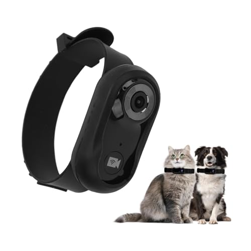 Bewinner Katzen Kamera Halsband – 120° Weitwinkel Sportkamera mit LCD-Bildschirm und 8 GB Speicherkarte, HD 1080P Multifunktionaler Haustier Katzen Tracker für Videoaufzeichnung von Bewinner