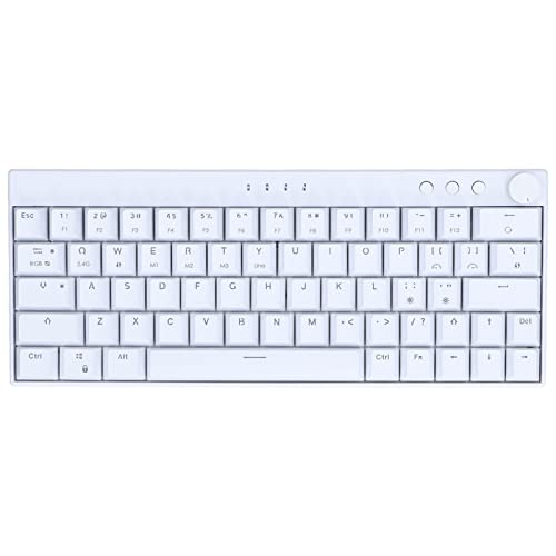 Bewinner Mechanische Tastatur mit 64 Tasten Plus RGB-Hintergrundbeleuchtung, RGB-3-Modus-Knopfdesign Ergonomisches Layout 4 Schalter Optionale Weiße Tastatur für OS Wins (Blauer Schalter) von Bewinner